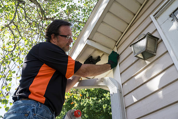 Best Hoarding Cleanup  in Fkville, AL